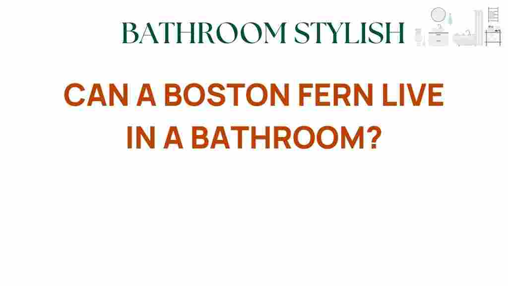 can-a-boston-fern-live-in-a-bathroom