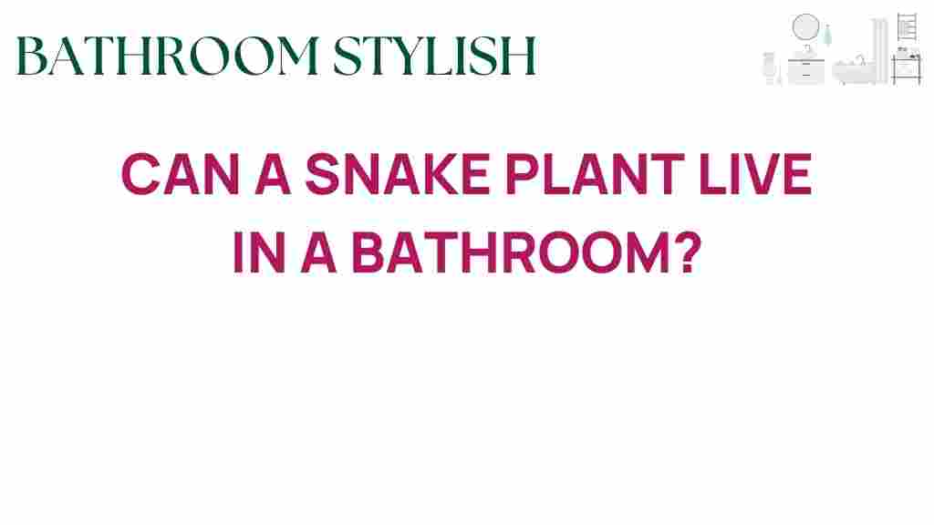can-a-snake-plant-thrive-in-your-bathroom