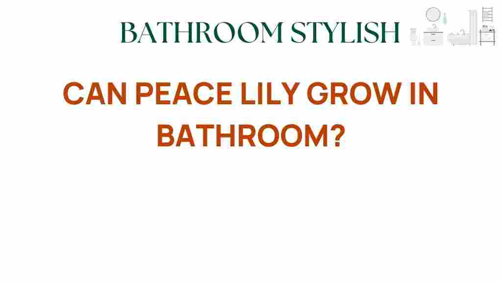 can-peace-lily-grow-in-bathroom