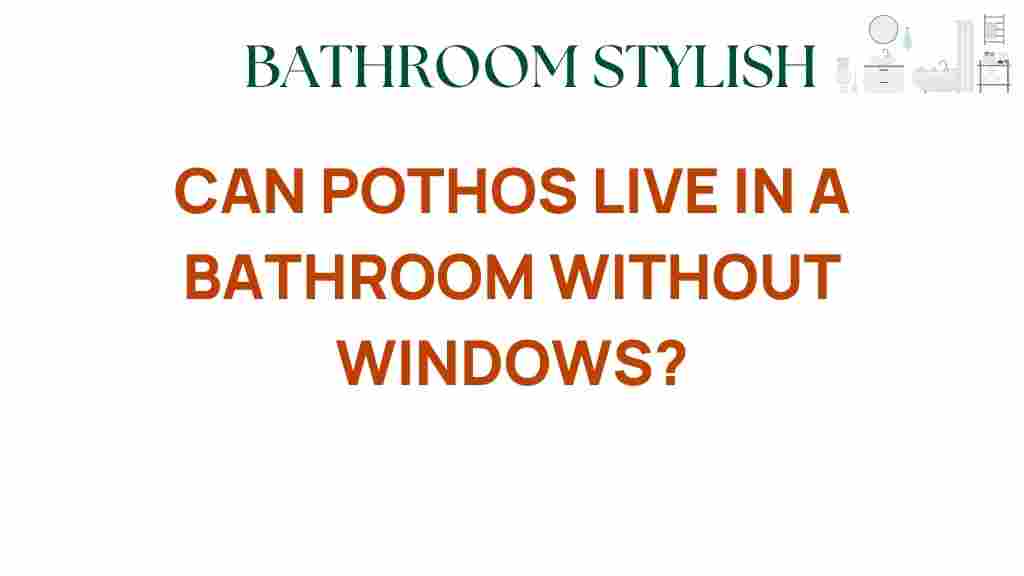 can-pothos-live-in-bathroom-without-windows