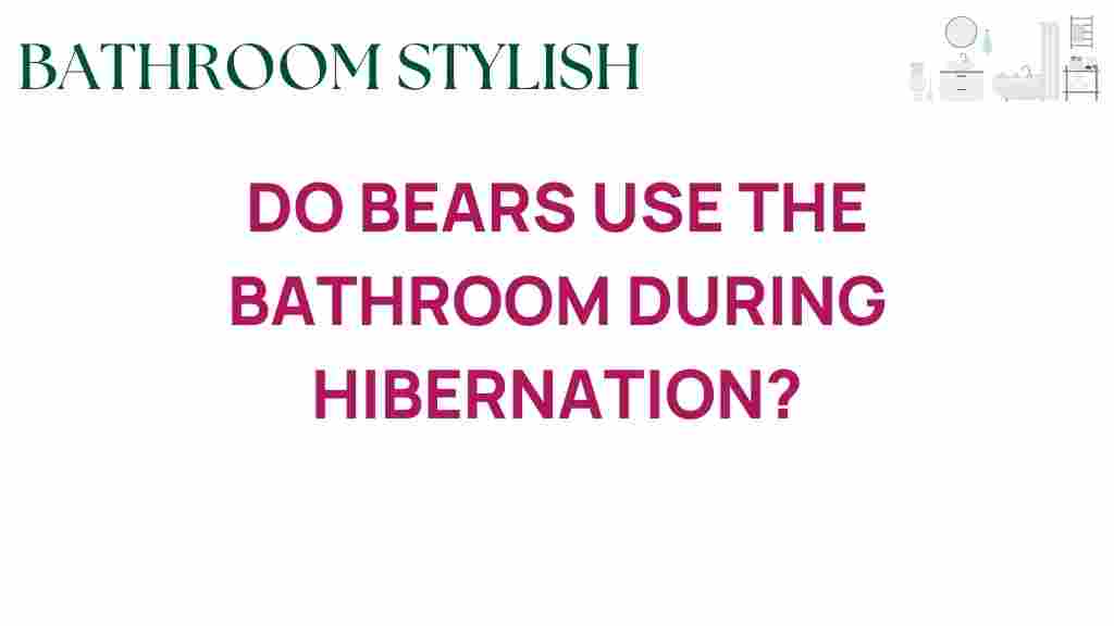 do-bears-use-bathroom-during-hibernation