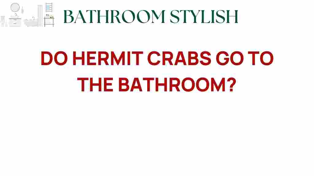 do-hermit-crabs-go-to-bathroom