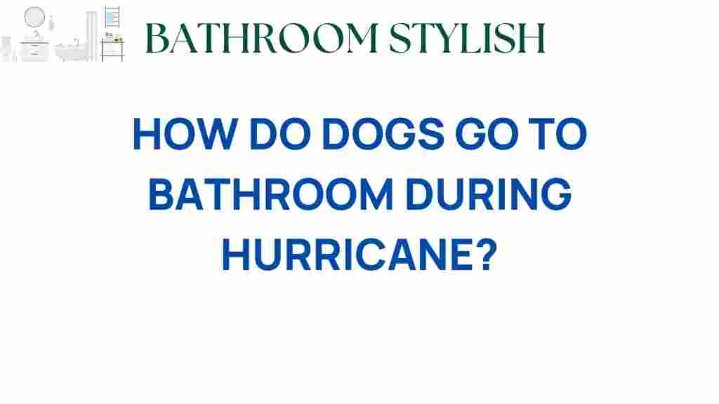 how-do-dogs-go-to-bathroom-during-hurricane