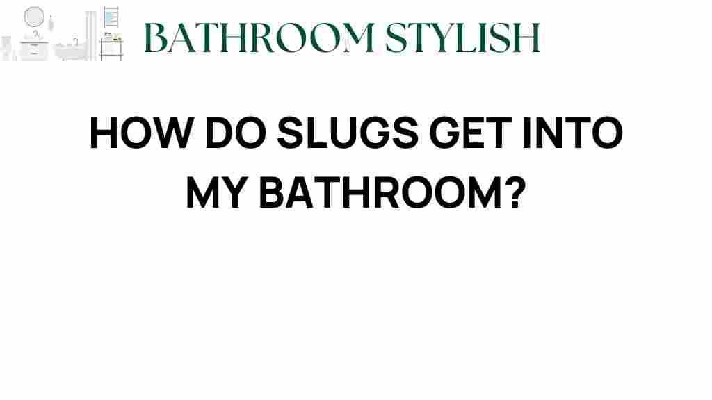 how-do-slugs-get-into-my-bathroom