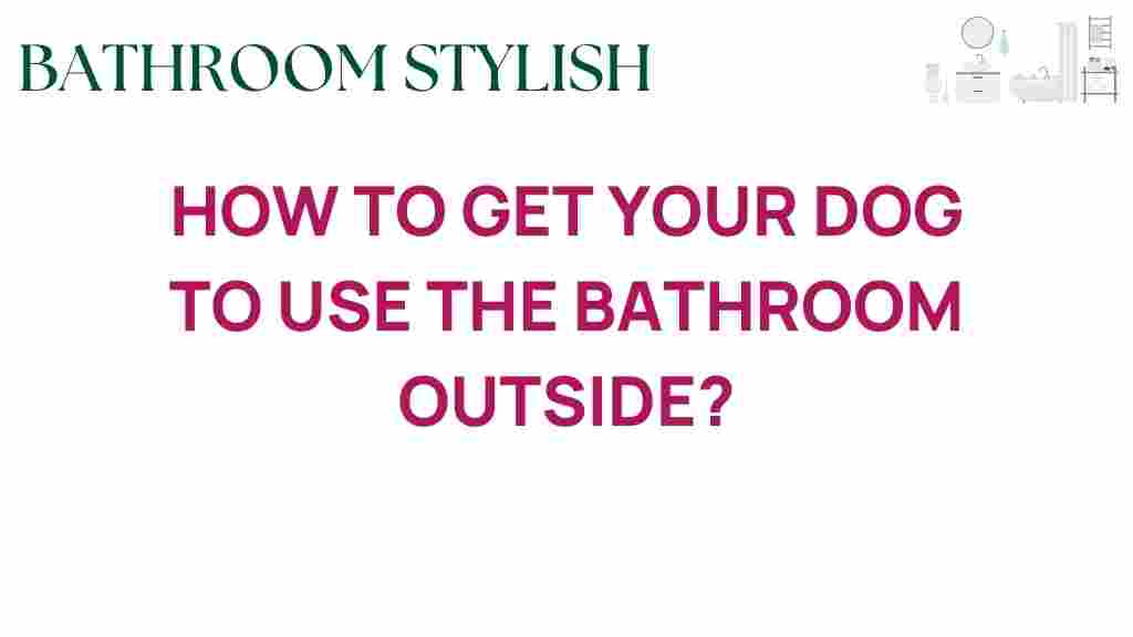 get-dog-to-use-bathroom-outside
