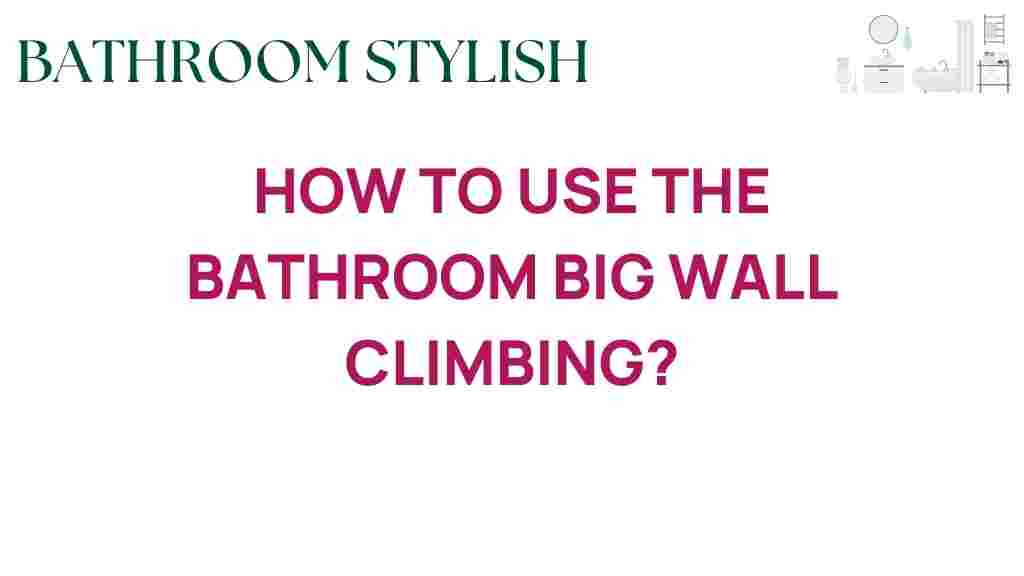 bathroom-big-wall-climbing