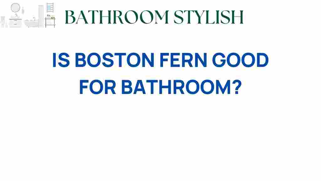boston-fern-good-for-bathroom