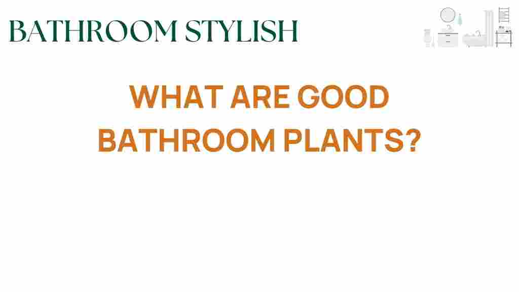 best-bathroom-plants