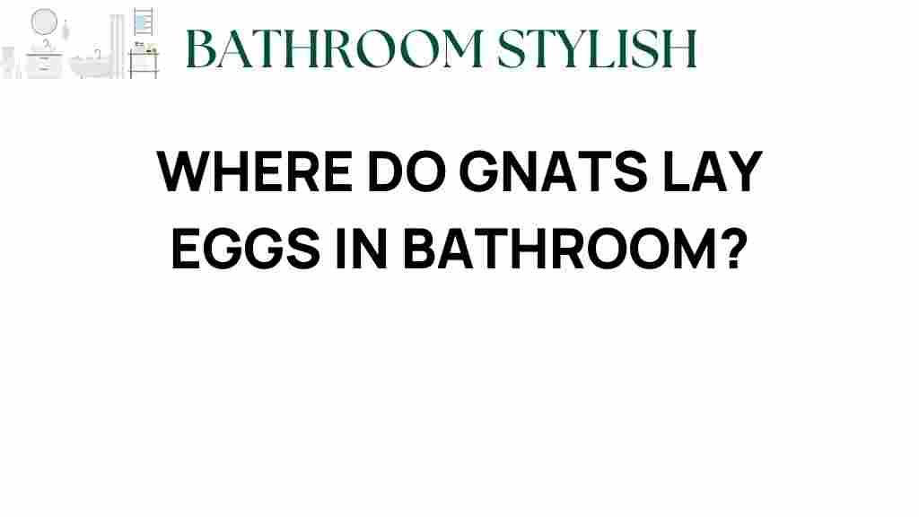 where-do-gnats-lay-eggs-in-bathroom