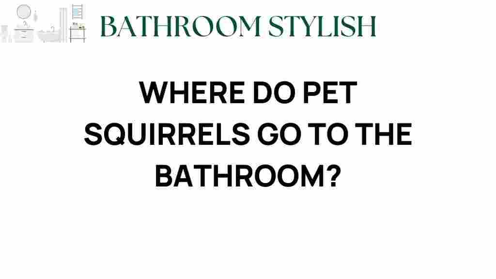 where-do-pet-squirrels-go-to-the-bathroom