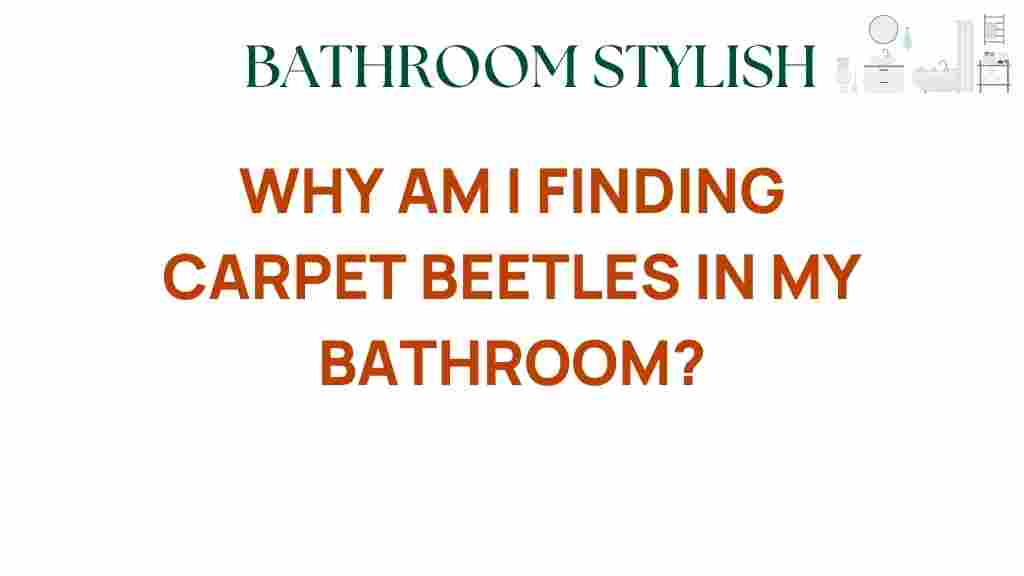 finding-carpet-beetles-bathroom