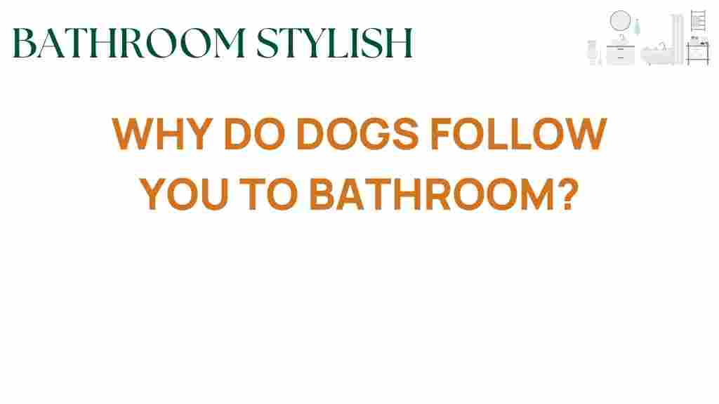 why-do-dogs-follow-you-to-bathroom