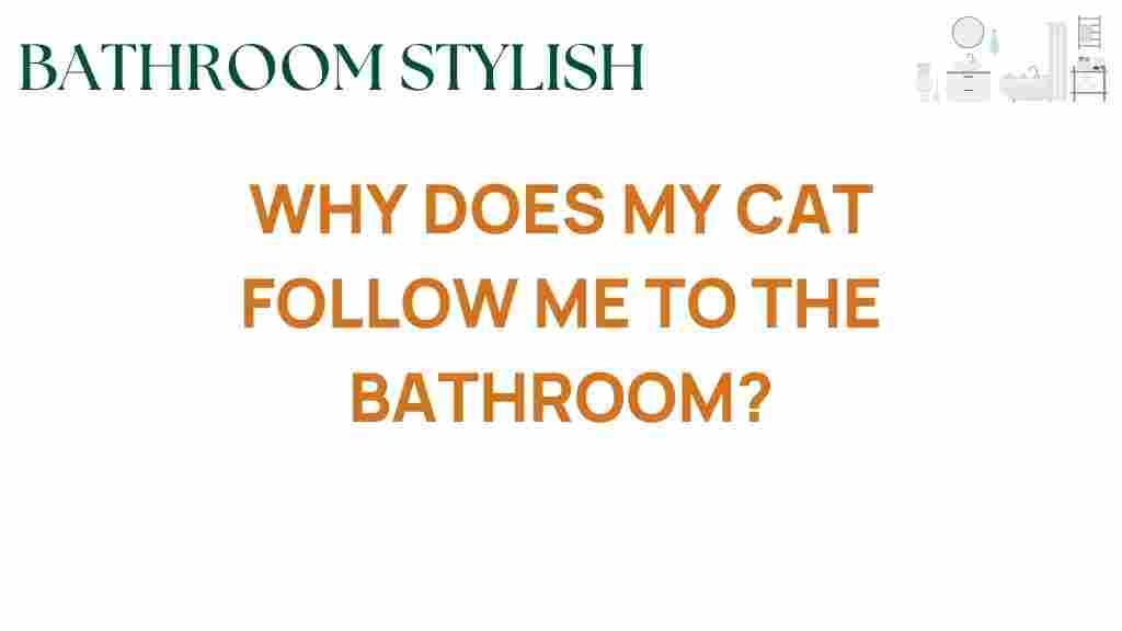 why-does-my-cat-follow-me-to-the-bathroom