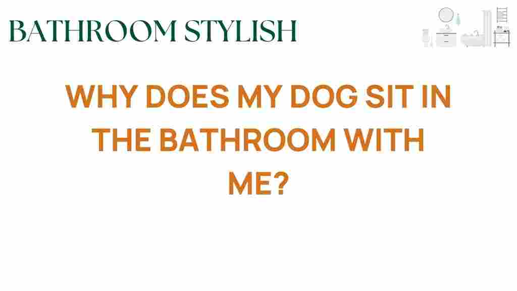 why-does-my-dog-sit-in-the-bathroom-with-me