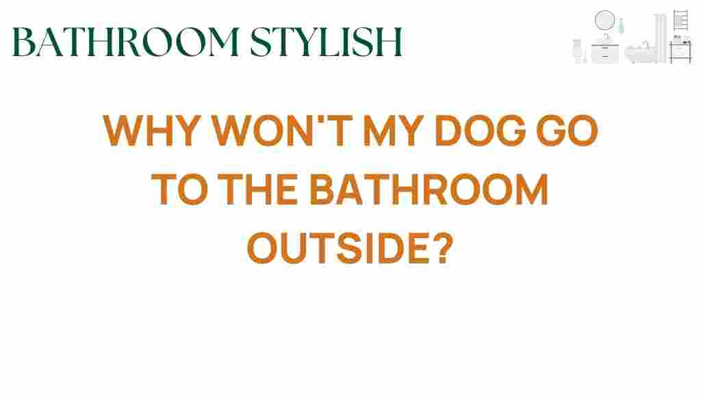 why-wont-my-dog-go-to-the-bathroom-outside